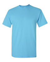 RBS Premium Tee in Sky