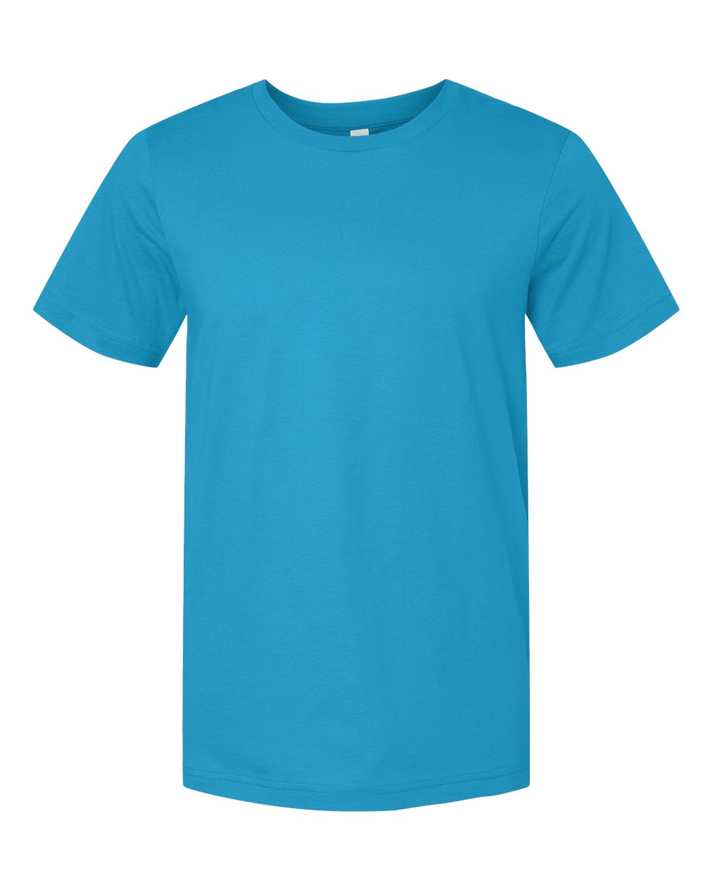 Standard Tee in Aqua
